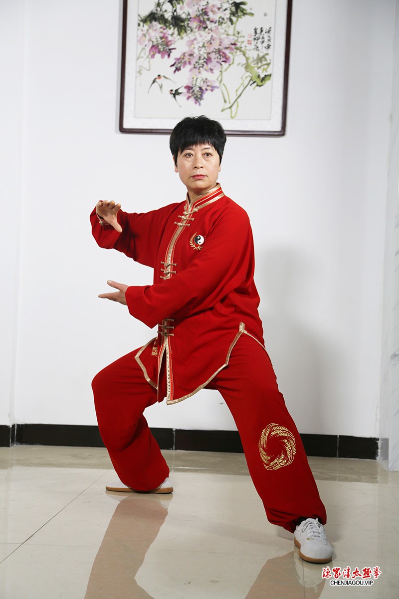 张文先：德艺为先，广传太极——记陈式太极拳名师张文先