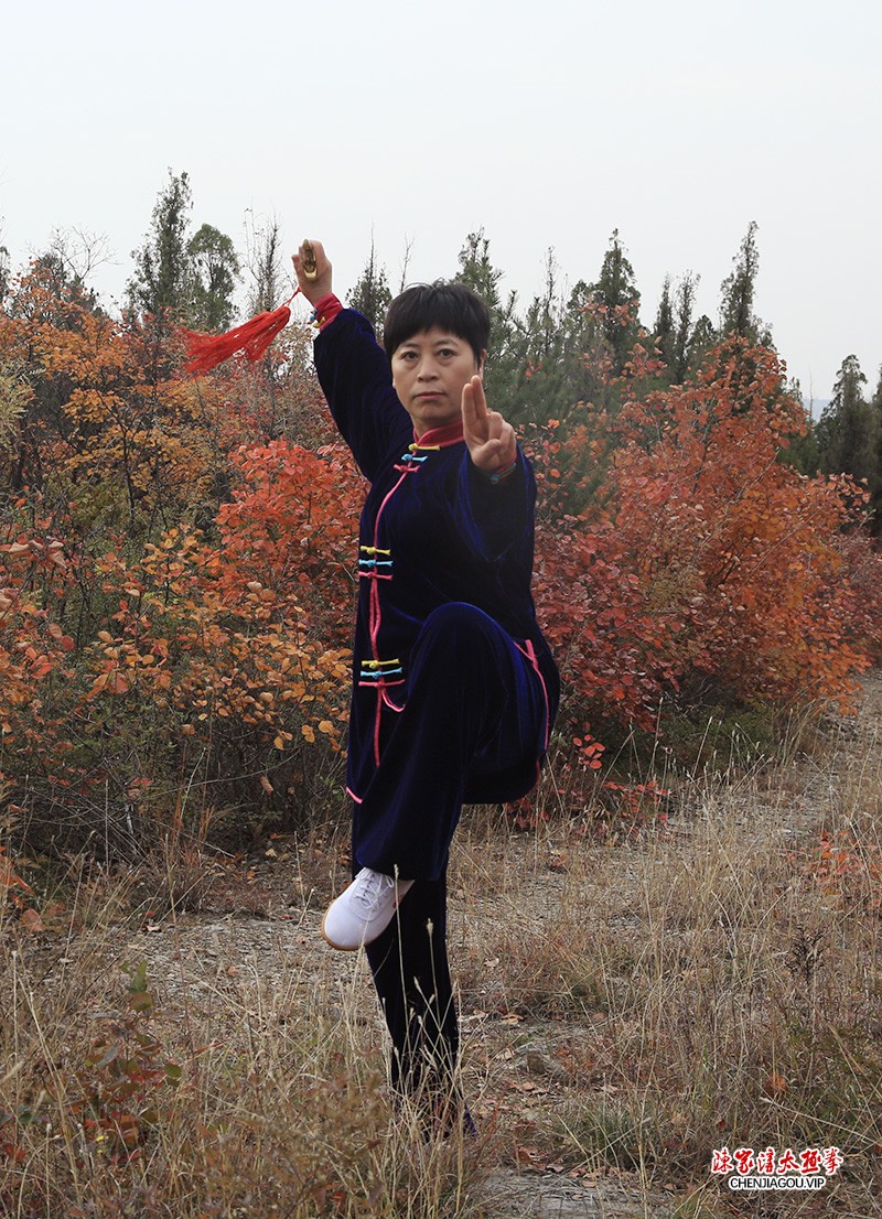 张文先：德艺为先，广传太极——记陈式太极拳名师张文先