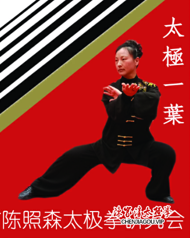 王叶：不忘初心，广传太极