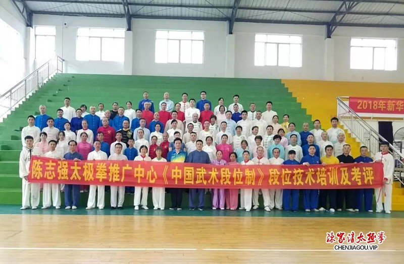 陈志强:扎根花都二十余载,孜孜不倦传太极