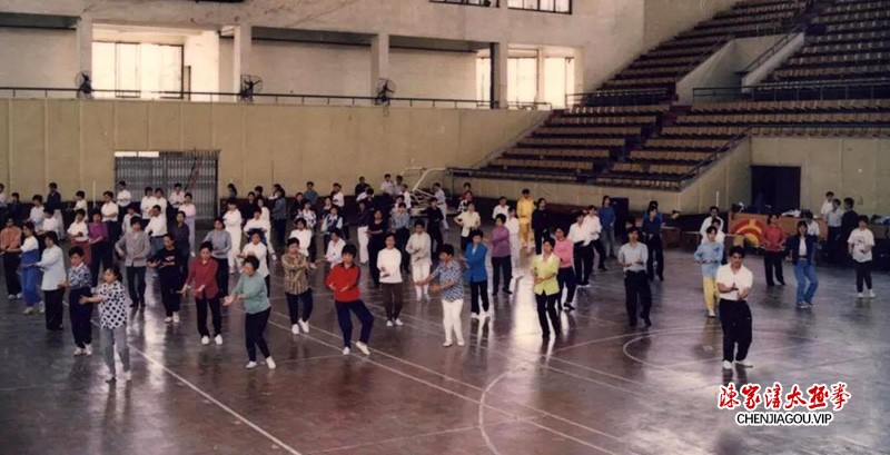 陈志强:扎根花都二十余载,孜孜不倦传太极