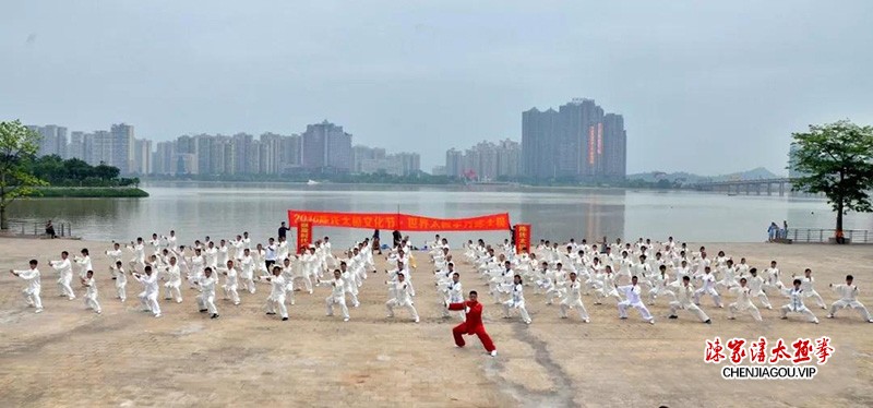 陈志强:扎根花都二十余载,孜孜不倦传太极