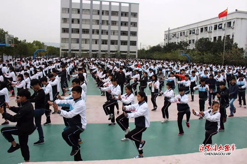 陈志强:扎根花都二十余载,孜孜不倦传太极