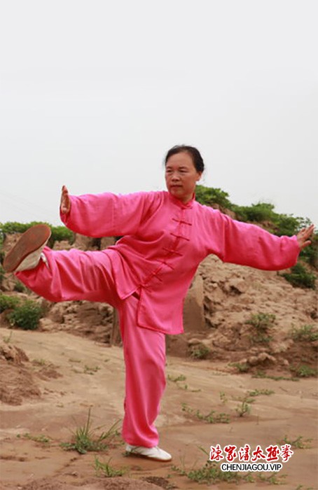 传播太极 亮剑风采——孟州太极名师王剑军功夫掠影