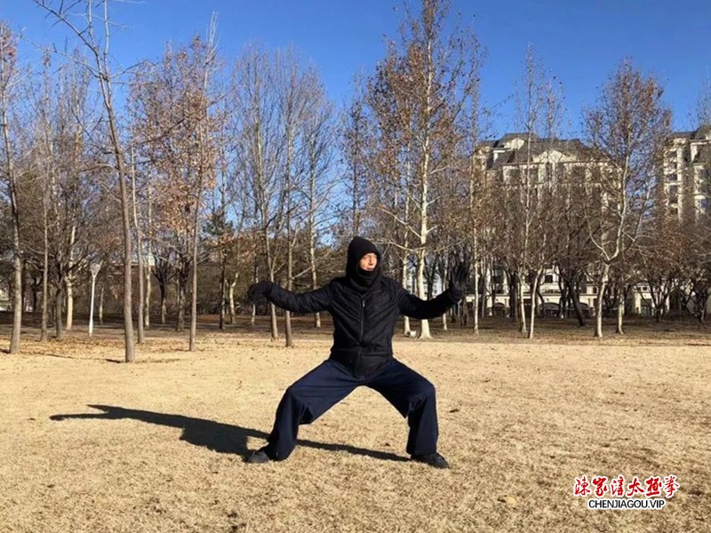 褚长旭：桩功+太极拳=抗疫之良方