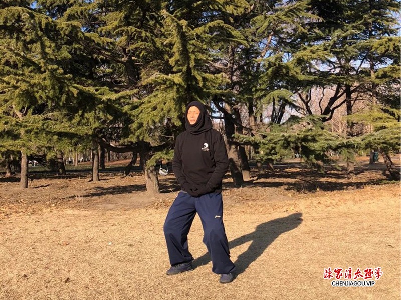 褚长旭：桩功+太极拳=抗疫之良方