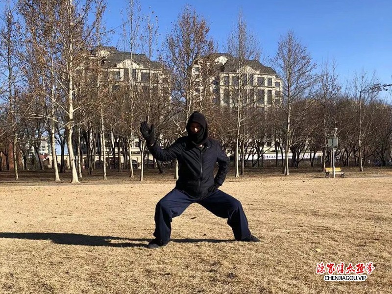 褚长旭：桩功+太极拳=抗疫之良方