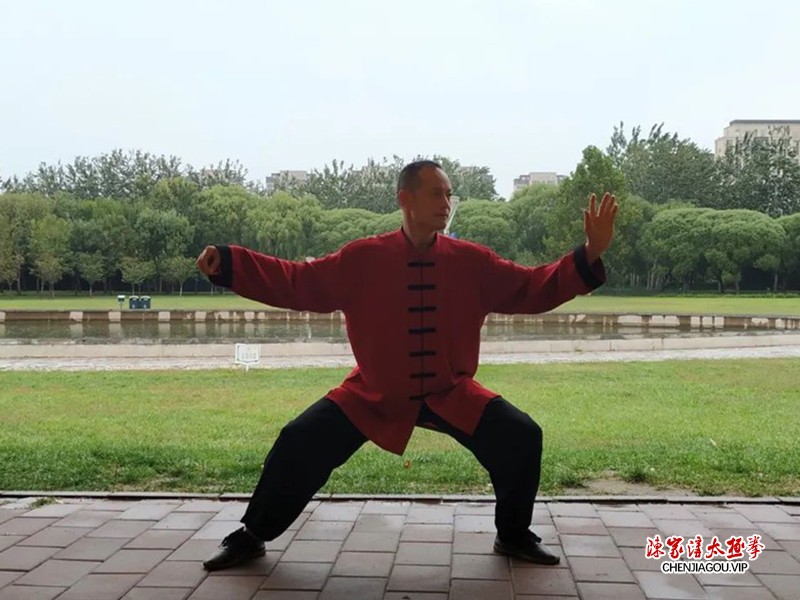 桩功+太极拳=抗疫之良方