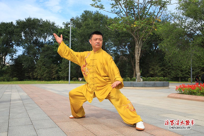 辽宁陈式太极拳名师——夏伟波