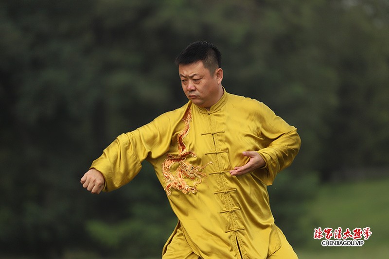 辽宁陈式太极拳名师——夏伟波