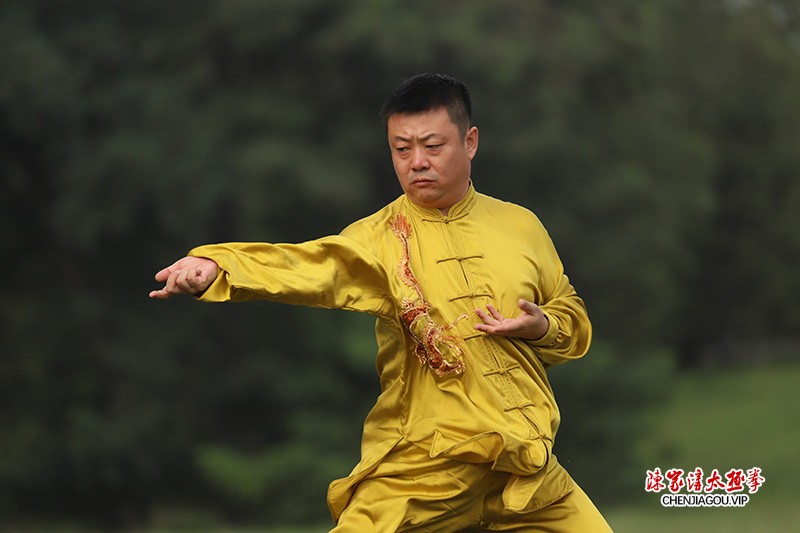 辽宁陈式太极拳名师——夏伟波