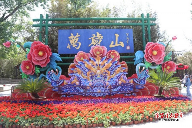 【武观天下】走访武林系列之走进开封武术协会探索武林传承新篇章