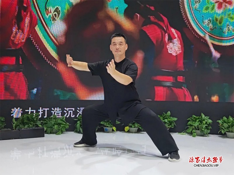 陈志强太极应邀助力第二十届中国（深圳）国际文博会河南馆
