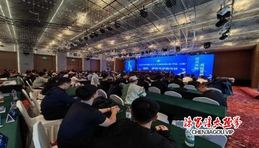 2024 年中国大学生武术套路锦标赛：青春热血，武动乾坤