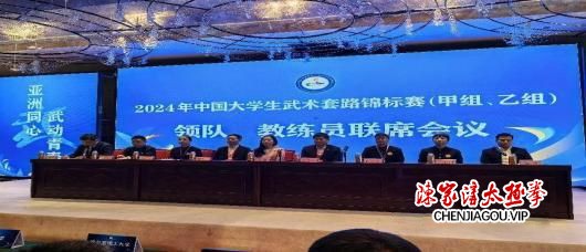 2024 年中国大学生武术套路锦标赛：青春热血，武动乾坤