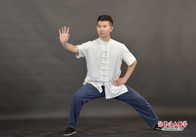 太极拳师蒋勇锋的拳艺风采