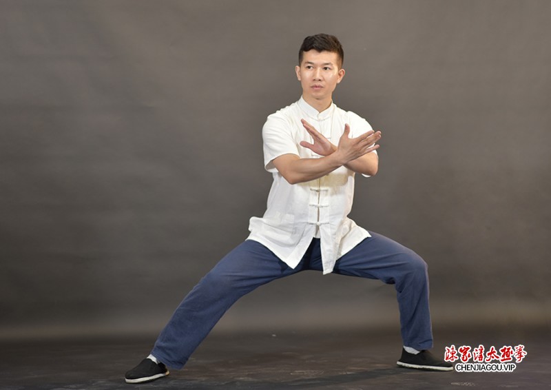 太极拳师蒋勇锋的拳艺风采