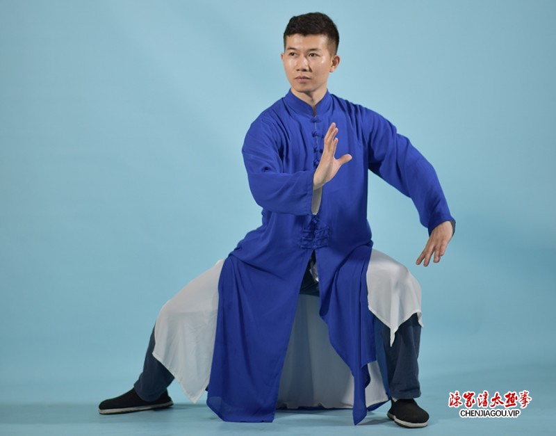 太极拳师蒋勇锋的拳艺风采