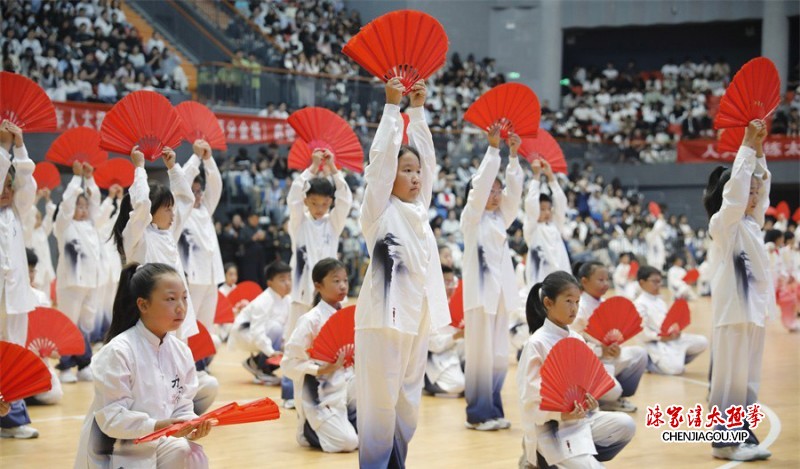 济源示范区2025年全民健身活动月盛大启动，太极拳精英选拔赛同步点燃激情