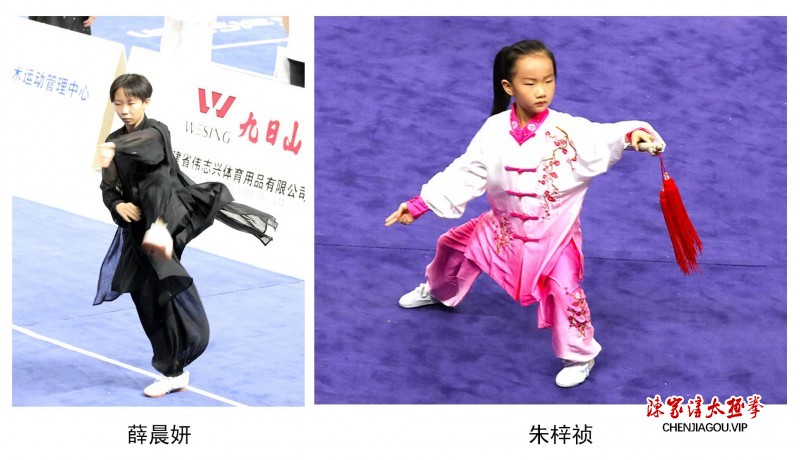 常子轩太极拳研修院在第十二届太极拳年会中再创佳绩