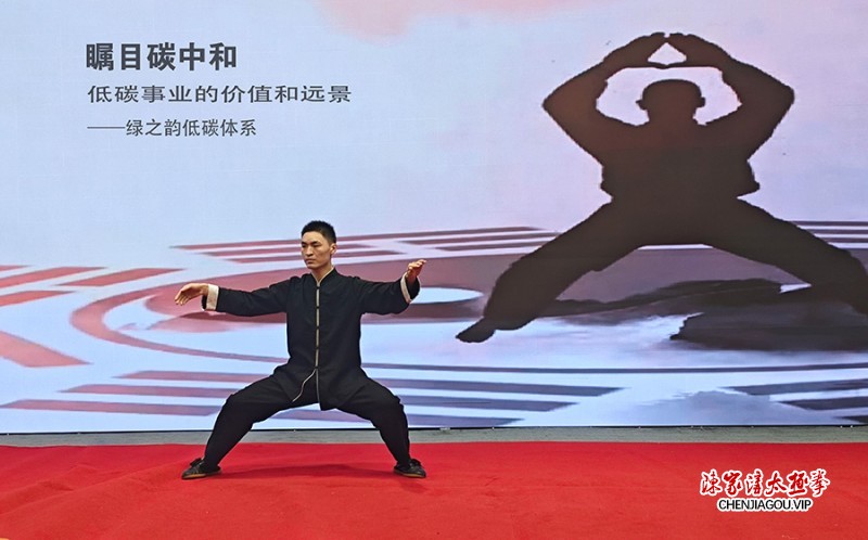 名师乔莲洁应邀“瞩目碳中和”论坛精彩献艺