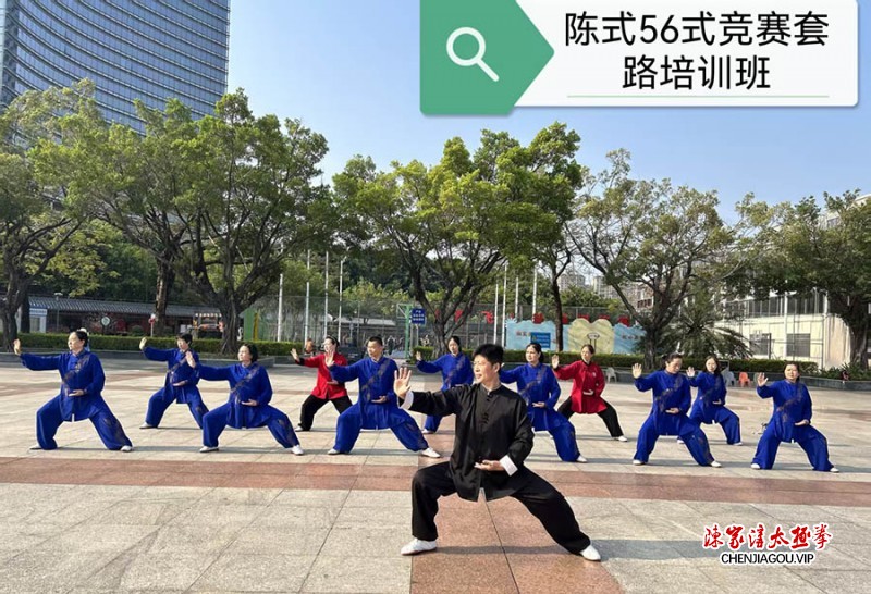 不辱传承使命 岭南绽放太极芳华——记陈式太极拳第十三代传人齐利忠惠州传拳之路