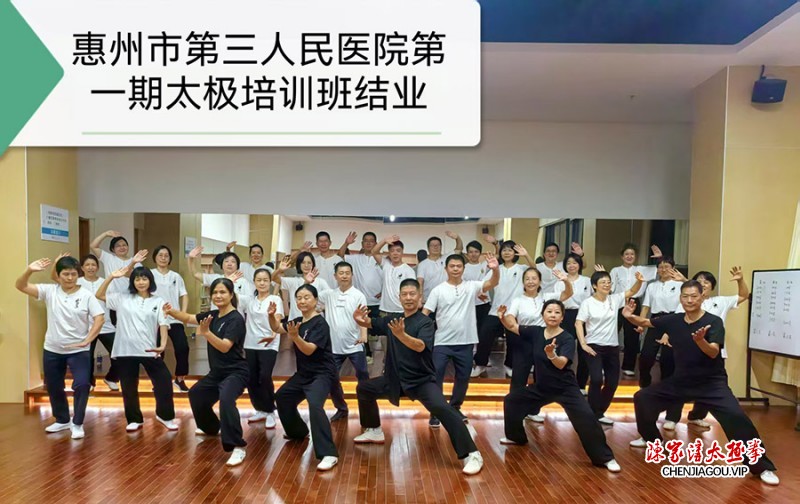 不辱传承使命 岭南绽放太极芳华——记陈式太极拳第十三代传人齐利忠惠州传拳之路