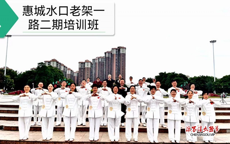 不辱传承使命 岭南绽放太极芳华——记陈式太极拳第十三代传人齐利忠惠州传拳之路