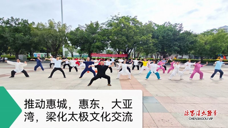 不辱传承使命 岭南绽放太极芳华——记陈式太极拳第十三代传人齐利忠惠州传拳之路
