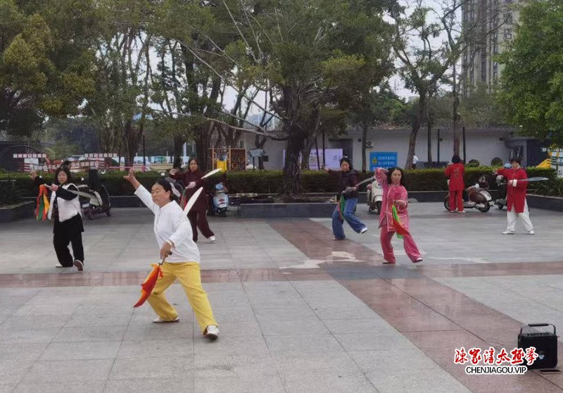 桂波获得初级国际太极拳推广教练资格证