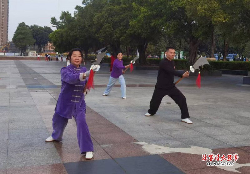 李锦兰获得初级国际太极拳推广教练资格证