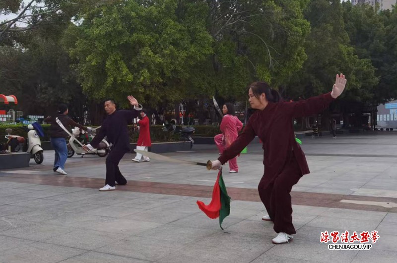 凌丽旋获得初级国际太极拳推广教练资格证